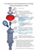 Проставки передні на верх опори поліуретанові Chevrolet Volt (2010-2015) 30 мм 35007R30-PA14-1,5-CH05 фото 4